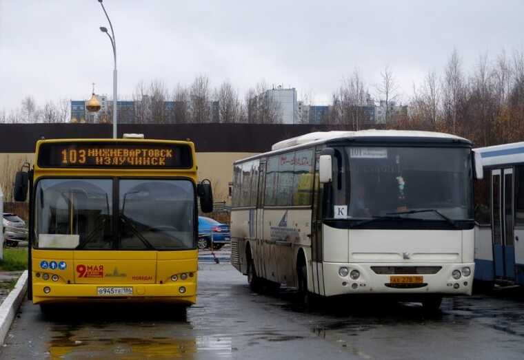 Депдорхоз ХМАО заводит в Нижневартовск «близкую контору» на 8 миллиардов: Эксперты рассказали о коррупции и последствиях для транспорта