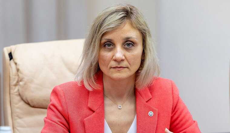 Министр Дойна Нистор задекларировала доход и имущество за 2024 год в размере 1,8 миллиона леев