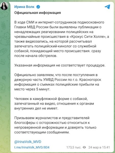 Волк Ирина скрин Ирина Волк телеграм